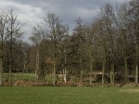 B, Limburg, Overpelt, Kleine Molen 7, Saxifraga-Marijke Verhagen