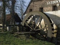 B, Limburg, Overpelt, Weelse Molen 2, Saxifraga-Marijke Verhagen