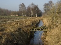 B, Limburg, Peer, Bergske, Dommel 3, Saxifraga-Jan van der Straaten