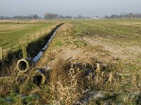 B, Limburg, Peer, Linde, Dommel 1, Saxifraga-Jan van der Straaten