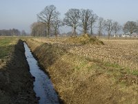 B, Limburg, Peer, Linde, Dommel 2, Saxifraga-Jan van der Straaten