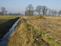 B, Limburg, Peer, Linde, Dommel 3, Saxifraga-Jan van der Straaten