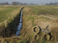 B, Limburg, Peer, Linde, Dommel 4, Saxifraga-Jan van der Straaten