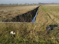 B, Limburg, Peer, Linde, Dommel-oorsprong 14, Saxifraga-Jan van der Straaten