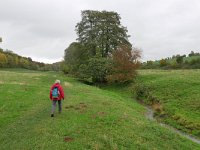 B, Limburg, Voeren, Altenbroek 2, Saxifraga-Tom Heijnen