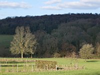 B, Limburg, Voeren, Gulpdal bij Nurop 4, Saxifraga-Tom Heijnen