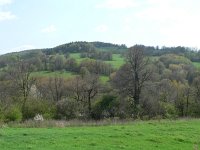 CZ, Hodonin, Bile Karpaty, Javornik, Machova 3, Saxifraga-Jan  Willem Jongepier