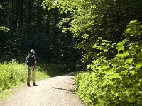 DK, Sjaelland, Vordingborg, Moens Klint South 3, Saxifraga-Jan van der Straaten