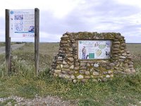 F, Bouches-du-Rhône, Saint-Martin-de-Crau, Reserve Naturelle des Coussouls de Crau 1, Saxifraga-Tom Heijnen