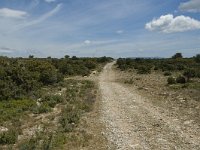 F, Bouches-du-Rhone, Saint-Remy-de-Provence, Caume 13, Saxifraga-Marijke Verhagen