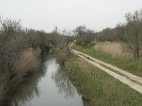 F, Bouches-du-Rhone, Saintes Maries de la Mer, Parc Ornithologique 4, Saxifraga-Willem van Kruijsbergen