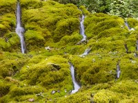 F, Jura, Champagnole, Perte de l'Ain 2, Saxifraga-Jan Nijendijk