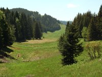 F, Jura, la Pesse, combe a Malatrait 4, Saxifraga-Willem van Kruijsbergen