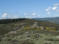 F, Lozere, Barre-des-Cevennes 1, Saxifraga-Willem van Kruijsbergen