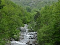 F, Lozere, Bassurels, Mont Aigoual 2, Saxifraga-Dirk Hilbers