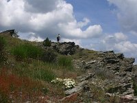 F, Lozere, Cevenol 2, Saxifraga-Dirk Hilbers