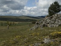 F, Lozere, Florac, Causse de Mejean 13, Saxifraga-Marijke Verhagen