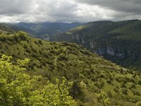 F, Lozere, Florac, Causse de Mejean 2, Saxifraga-Marijke Verhagen