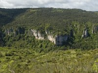 F, Lozere, Florac, Causse de Mejean 3, Saxifraga-Marijke Verhagen