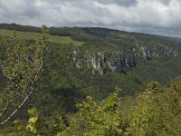 F, Lozere, Florac, Causse de Mejean 4, Saxifraga-Marijke Verhagen