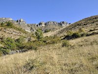 F, Lozere, Fraissinet-de-Fourques 4, Saxifraga-Elisabeth Raboin