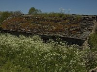 F, Lozere, Fraissinet-de-Fourques, L Hom 2, Saxifraga-Marijke Verhagen