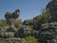 F, Lozere, Fraissinet-de-Fourques, Nimes-le-Vieux 10, Saxifraga-Marijke Verhagen