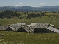 F, Lozere, Fraissinet-de-Fourques, Nimes-le-Vieux 17, Saxifraga-Marijke Verhagen