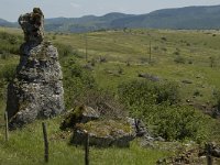 F, Lozere, Fraissinet-de-Fourques, Nimes-le-Vieux 18, Saxifraga-Marijke Verhagen