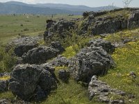 F, Lozere, Fraissinet-de-Fourques, Nimes-le-Vieux 22, Saxifraga-Marijke Verhagen