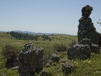 F, Lozere, Fraissinet-de-Fourques, Nimes-le-Vieux 23, Saxifraga-Marijke Verhagen