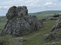 F, Lozere, Fraissinet-de-Fourques, Nimes-le-Vieux 26, Saxifraga-Willem van Kruijsbergen