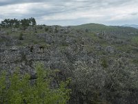 F, Lozere, Fraissinet-de-Fourques, Nimes-le-Vieux 27, Saxifraga-Willem van Kruijsbergen