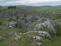 F, Lozere, Fraissinet-de-Fourques, Nimes-le-Vieux 35, Saxifraga-Willem van Kruijsbergen