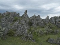 F, Lozere, Fraissinet-de-Fourques, Nimes-le-Vieux 38, Saxifraga-Willem van Kruijsbergen