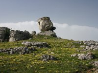 F, Lozere, Fraissinet-de-Fourques, Nimes-le-Vieux 4, Saxifraga-Dirk Hilbers