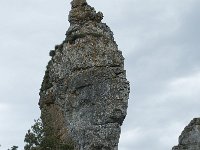 F, Lozere, Fraissinet-de-Fourques, Nimes-le-Vieux 44, Saxifraga-Willem van Kruijsbergen