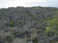 F, Lozere, Fraissinet-de-Fourques, Nimes-le-Vieux 49, Saxifraga-Willem van Kruijsbergen