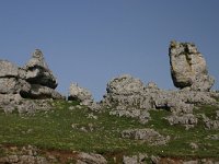 F, Lozere, Fraissinet-de-Fourques, Nimes-le-Vieux 5, Saxifraga-Dirk Hilbers