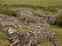 F, Lozere, Fraissinet-de-Fourques, Nimes-le-Vieux 53, Saxifraga-Annemiek Bouwman