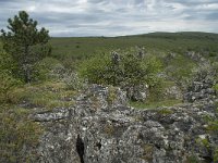 F, Lozere, Fraissinet-de-Fourques, Nimes-le-Vieux 59, Saxifraga-Willem van Kruijsbergen