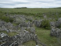 F, Lozere, Fraissinet-de-Fourques, Nimes-le-Vieux 60, Saxifraga-Willem van Kruijsbergen