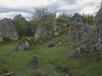 F, Lozere, Fraissinet-de-Fourques, Nimes-le-Vieux 61, Saxifraga-Willem van Kruijsbergen