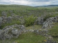 F, Lozere, Fraissinet-de-Fourques, Nimes-le-Vieux 62, Saxifraga-Willem van Kruijsbergen