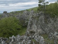 F, Lozere, Fraissinet-de-Fourques, Nimes-le-Vieux 65, Saxifraga-Willem van Kruijsbergen