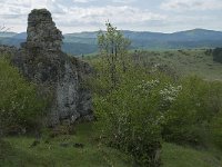 F, Lozere, Fraissinet-de-Fourques, Nimes-le-Vieux 70, Saxifraga-Willem van Kruijsbergen