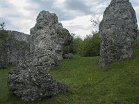 F, Lozere, Fraissinet-de-Fourques, Nimes-le-Vieux 72, Saxifraga-Willem van Kruijsbergen