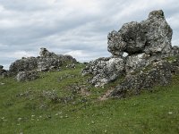 F, Lozere, Fraissinet-de-Fourques, Nimes-le-Vieux 73, Saxifraga-Willem van Kruijsbergen