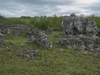 F, Lozere, Fraissinet-de-Fourques, Nimes-le-Vieux 77, Saxifraga-Willem van Kruijsbergen