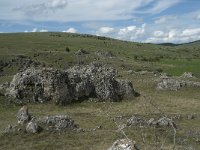 F, Lozere, Gatuzieres, Aures 17, Saxifraga-Willem van Kruijsbergen